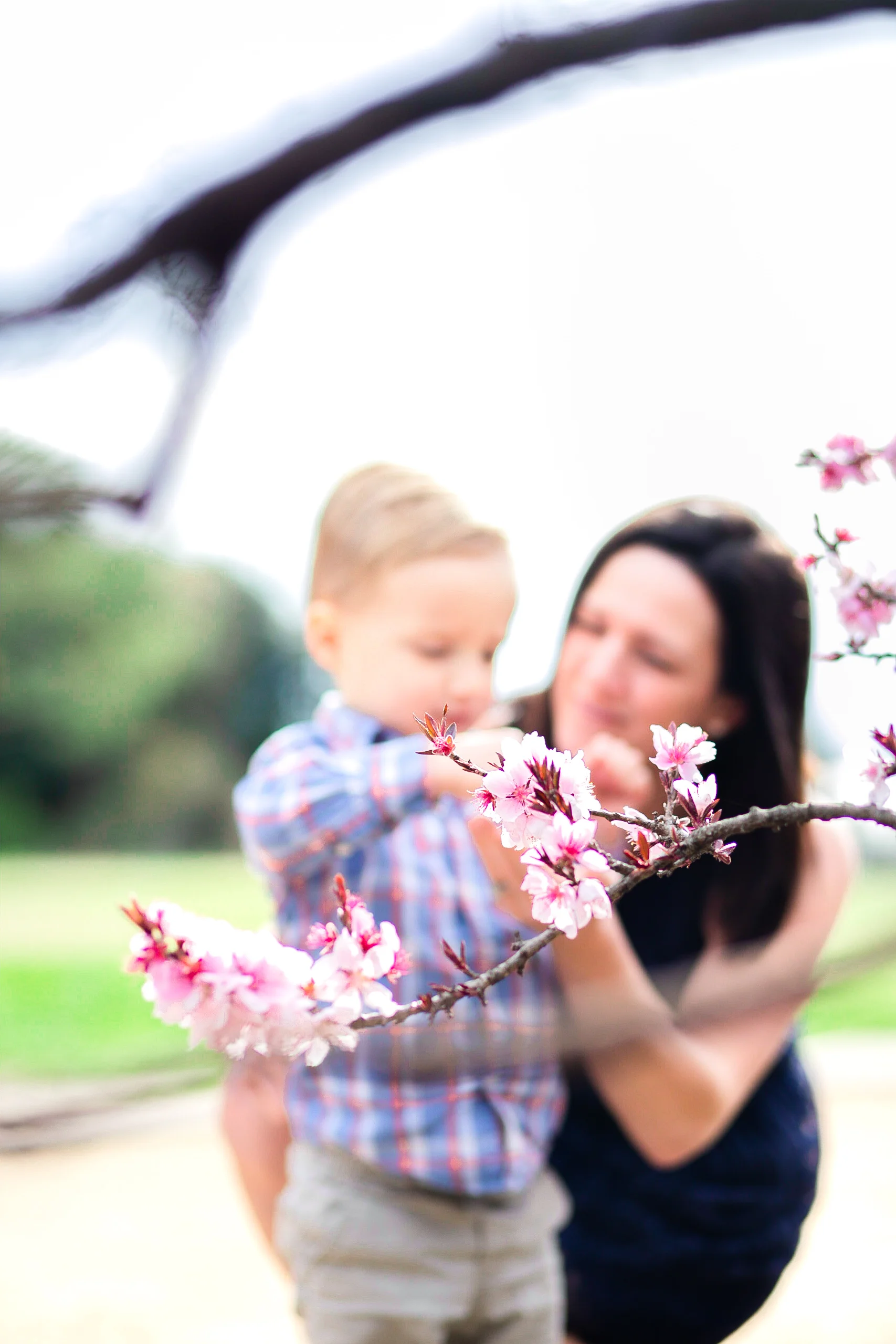 Why yes, I was hiding in the bushes to get this shot. But look, look at that tender, attentive, patient mother. She knows her child and what will get us to the shot.