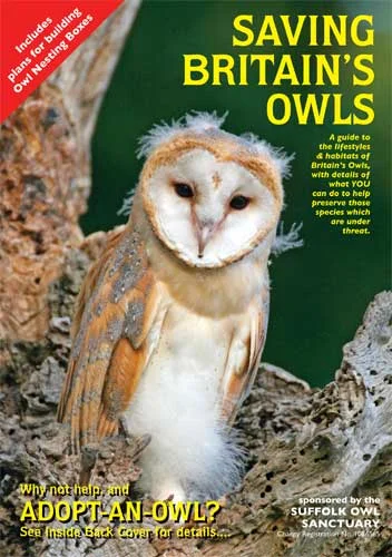 Overview Suffolk Owl Sanctuary