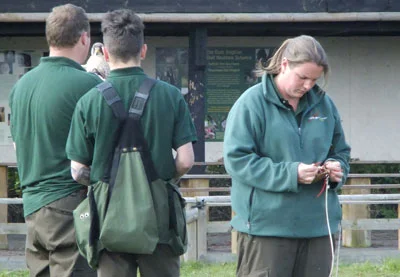 The senior falconers prepare to put trainee Harry through his paces