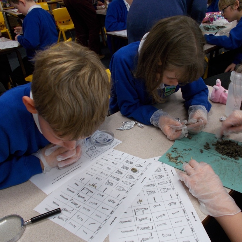 Suffolk Owl Sanctuary