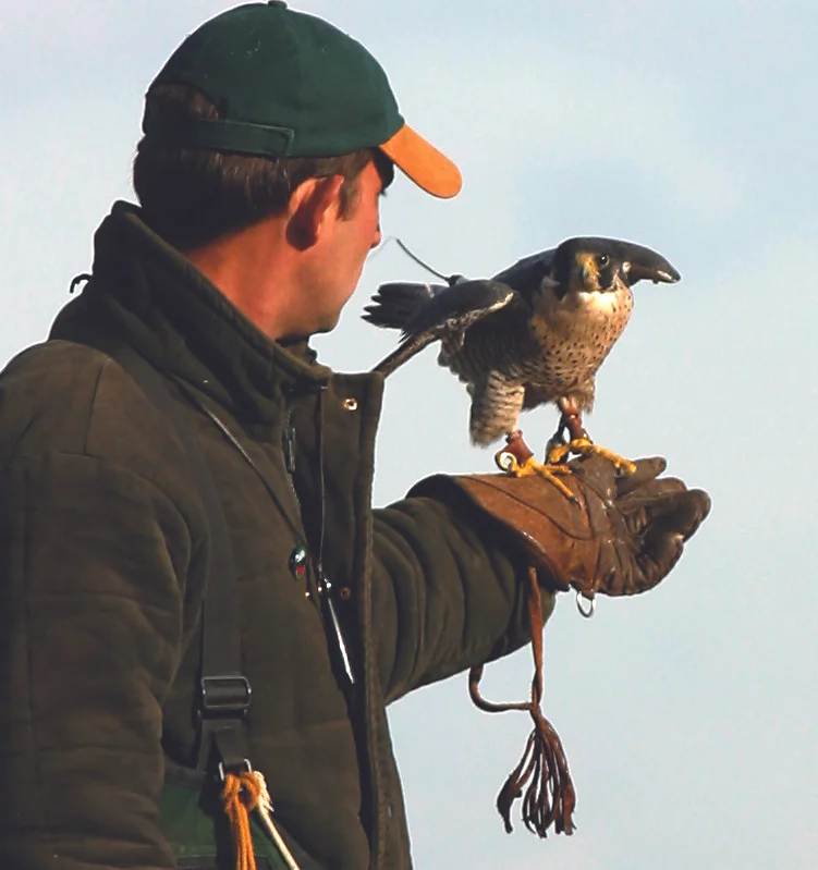 Suffolk Owl Sanctuary