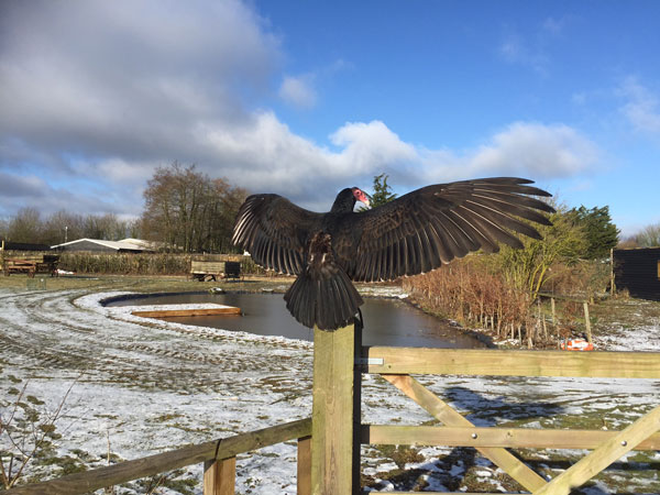 Rocky weighs up the strange white world and icy pond!
