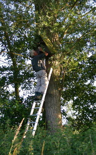 Roger and his colleague Kevin began checking through the 290-odd boxes scheme in June