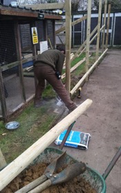 Head Falconer Matt gets down & dirty as  he concretes in the new barrier supports