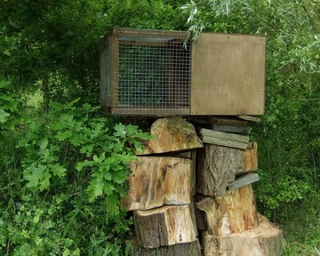 A typical Hack Box - the mesh will be removed once the residents have grown accustomed to their surroundings