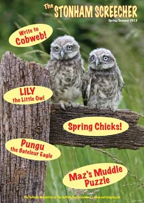 sos-school-newsletter-sp13-cover-copy.jpg