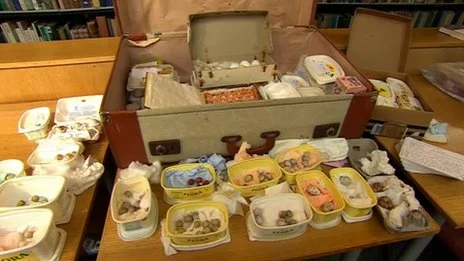 The haul of illegally collected eggs stored in margarine boxes in a suitcases in the loft of the culprit