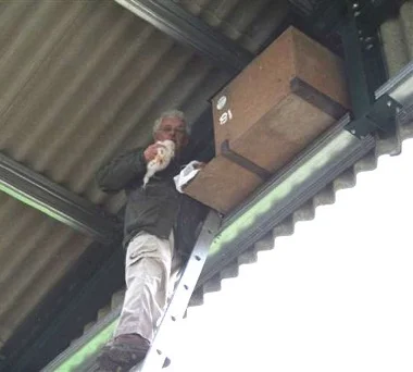 The wild owl boxes are located in a variety of suitable locations