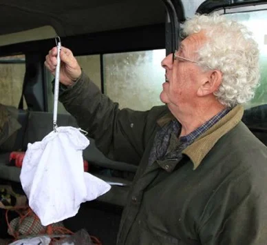 Safely secured in a soft muslin bag, the youngster is weighed...