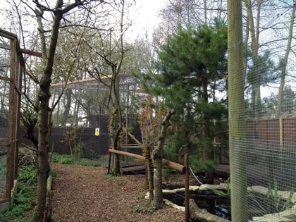 The three large squirrel enclosures allow plenty of space for recreation and seclusion