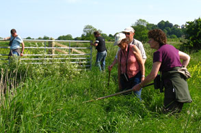 Volunteers help the British Trust For Ornithology (B.T.O.) to amass the data used to compile a nationwide survey of bird populations