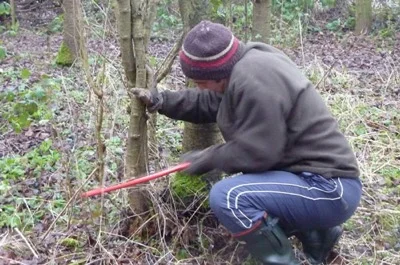 Andy coppiced the small woodland area at the Sanctuary to make way for fresh growth and more light