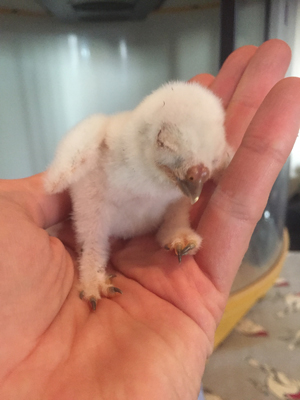  Like all newborns, Sebastian spent a good deal of time sleeping! 