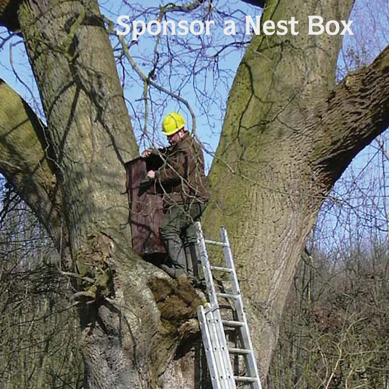 Nestbox-square-web.jpg