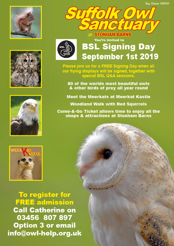 SOS BSL Web Events.png