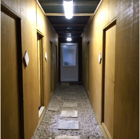 Rehab Aviaries Corridor