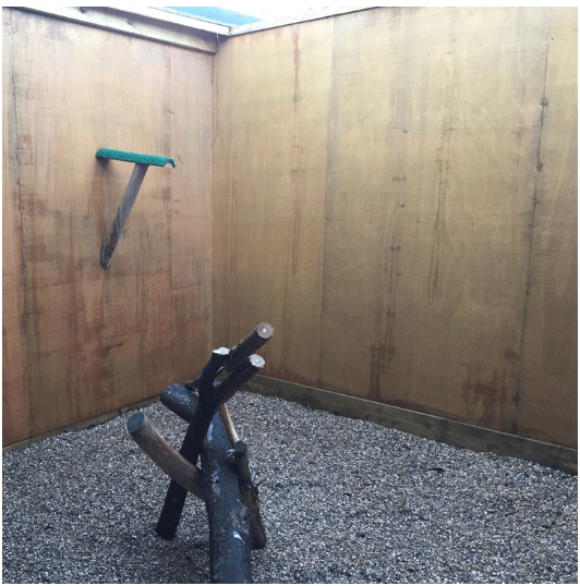 The re-hab aviaries give birds time, space and solitude to recover before they are released back to the wild.