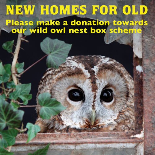 Wild Owl Nest Boxes