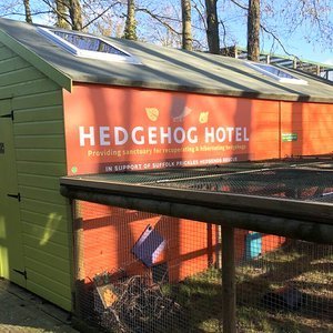 Hedgehog Hotel