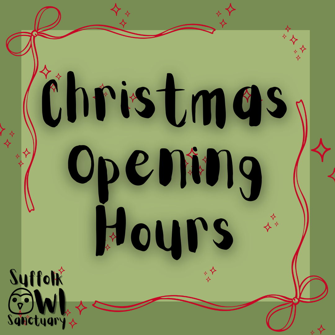 CHRISTMAS OPENING HOURS