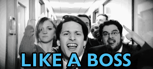 like_a_boss.gif