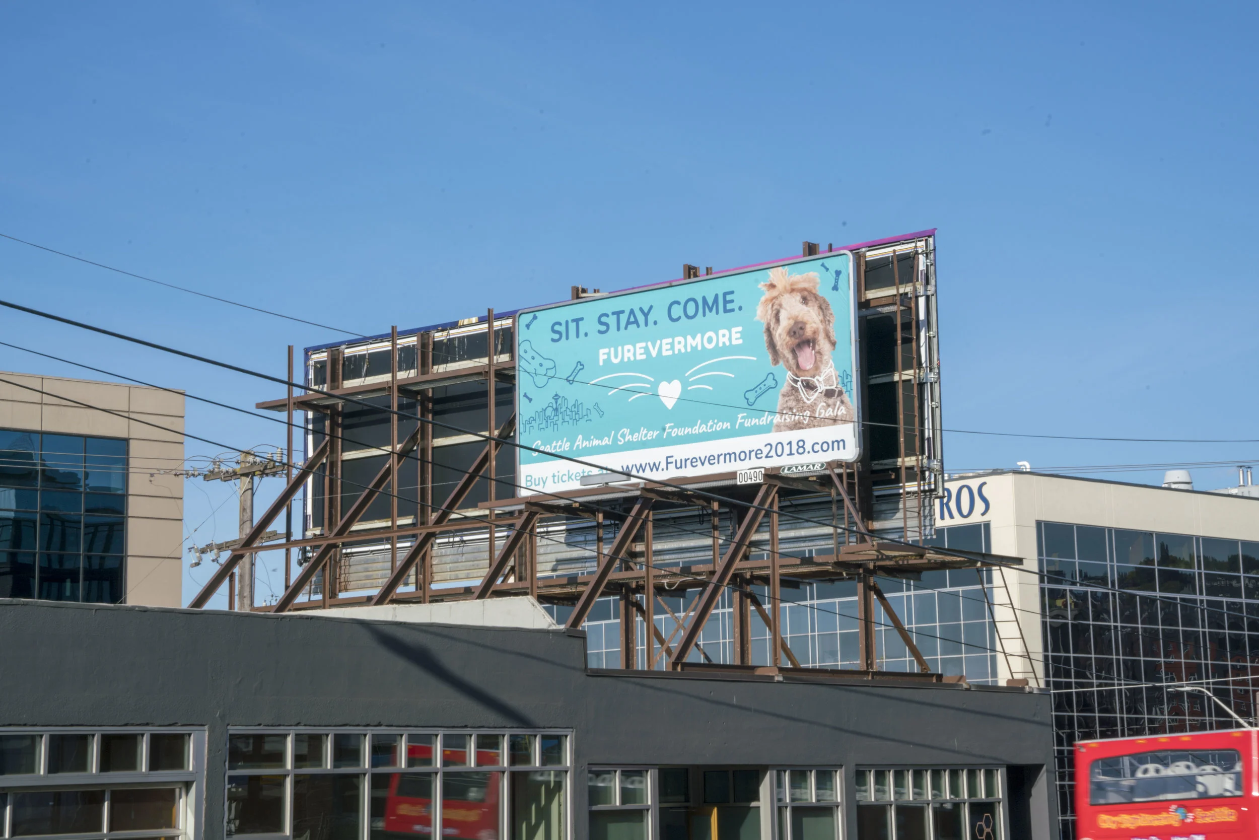 SASF_Billboard.JPG