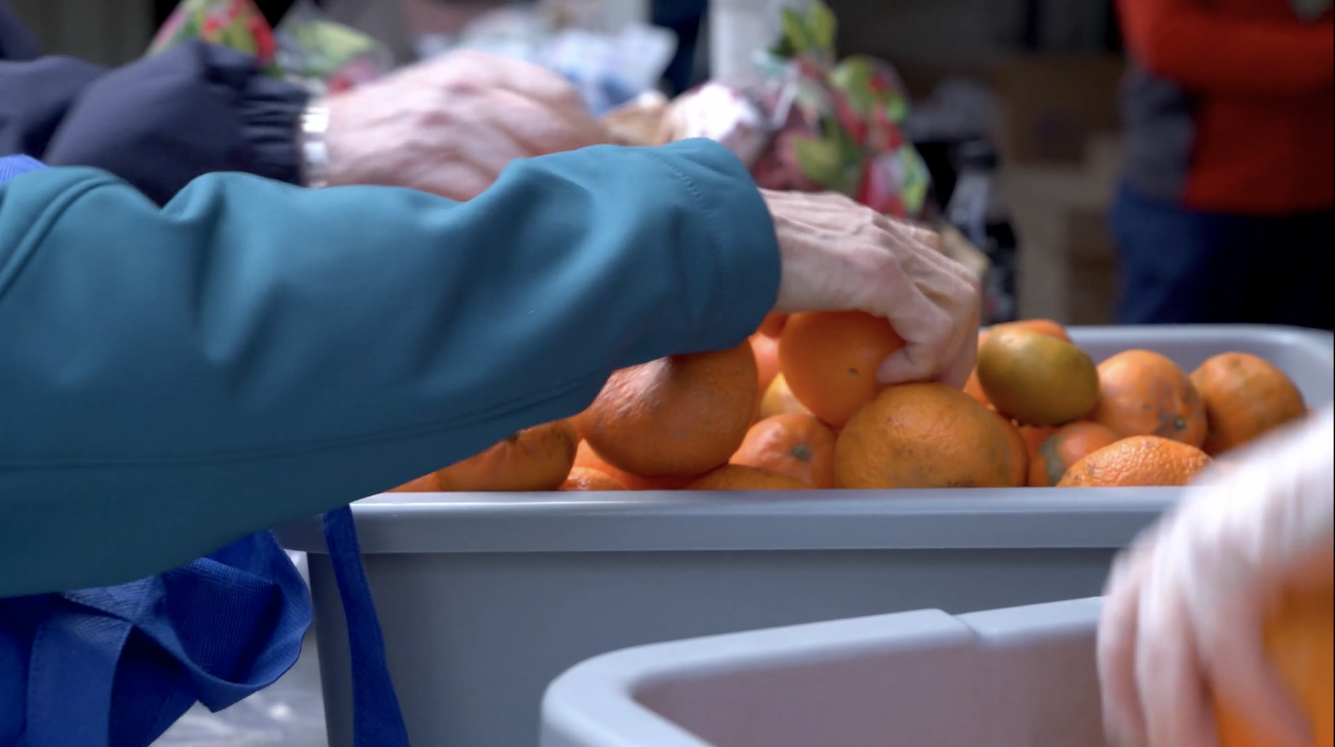 PSE: Northwest Harvest excited to do more good with solar power