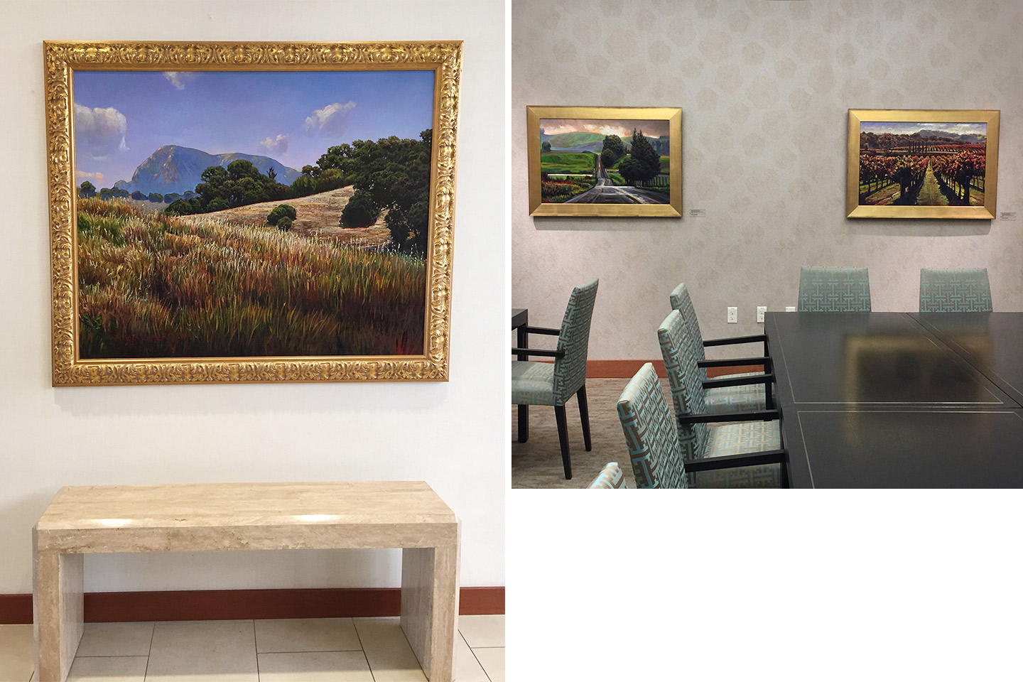 Spring Lake Village, Senior Care Facility, Santa Rosa, CA
