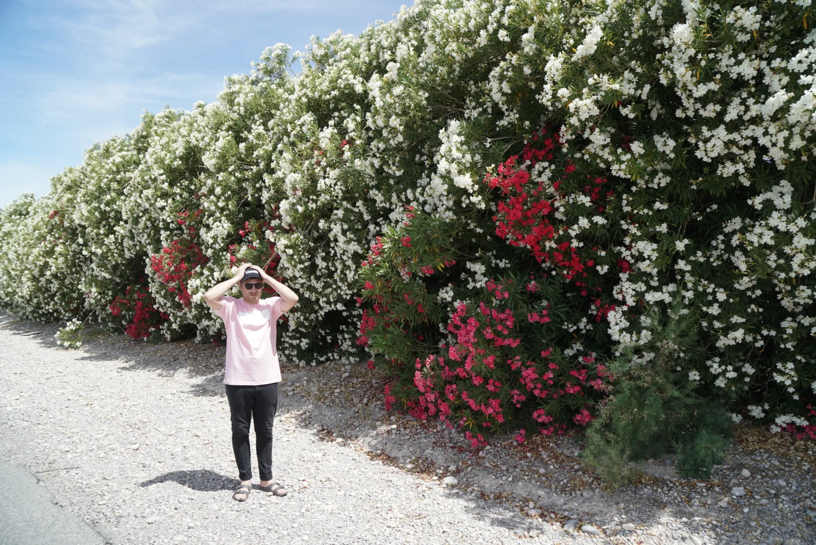 6F4F9461-70C8-4F4D-AADA-9CA93BD6D905