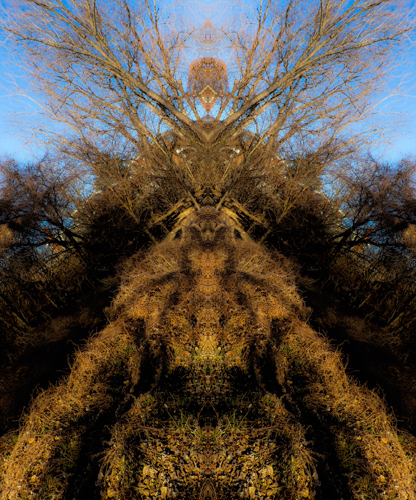 gaia guardian1 (1 of 1)-5.jpg