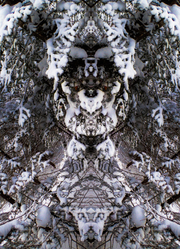 gaia guardian4 (1 of 1).jpg