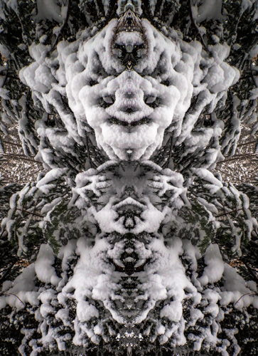 gaia guardian6 (1 of 1).jpg