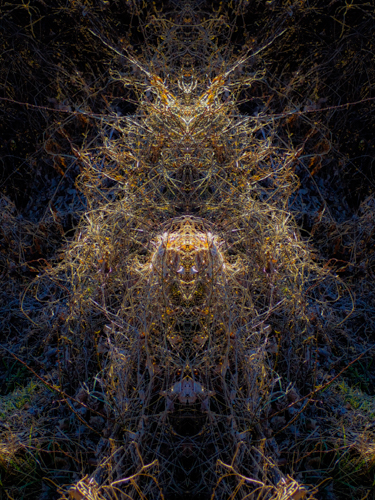 gg2 (1 of 1).jpg