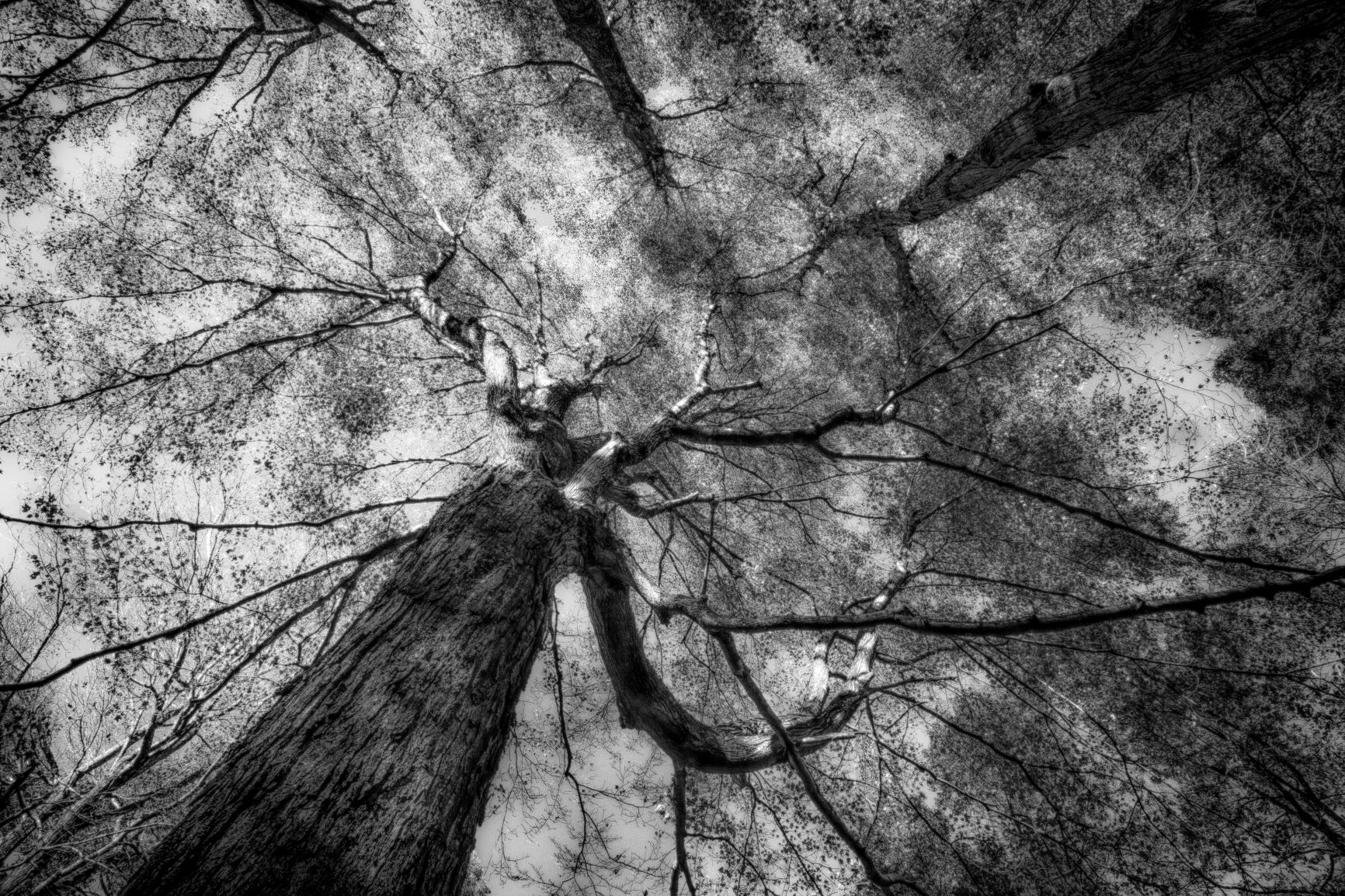 IMG_9447_HDR.jpg