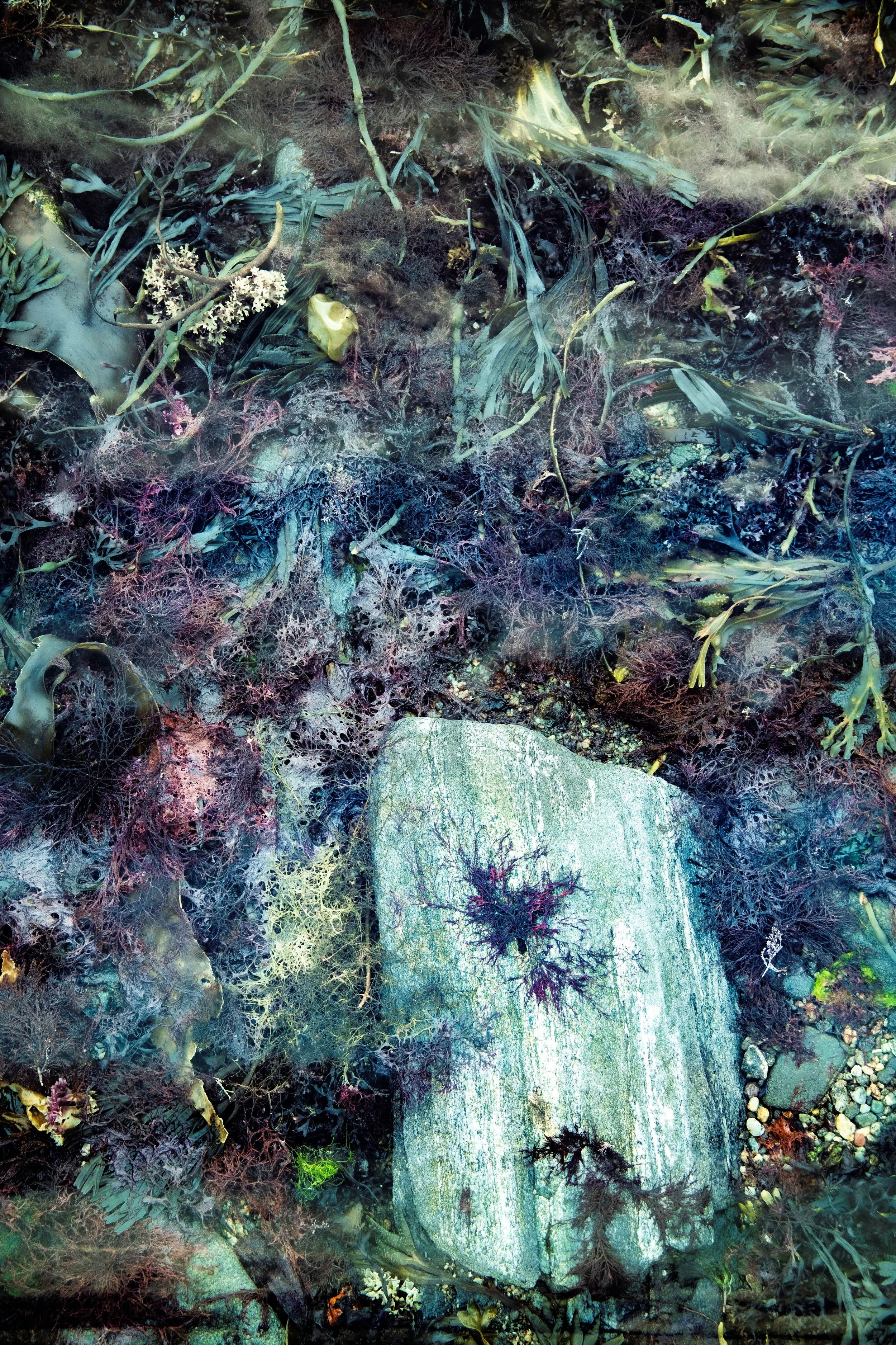 bracketed images_88.jpg