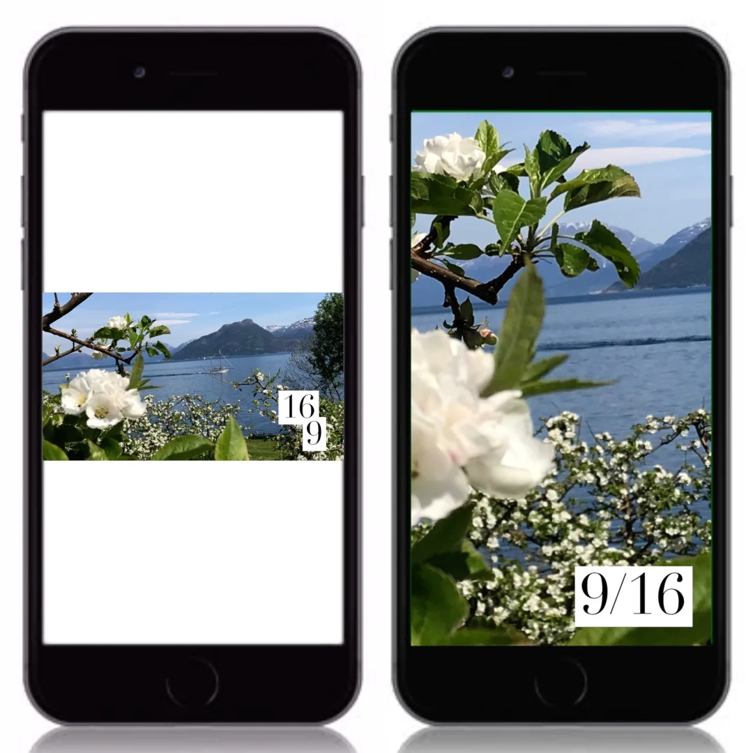 Høyde og bredde? Kan vi ta et vertikalt utsnitt av et horisontalt bilde, eller blir kvaliteten for dårlig? Det horisontale utsnittet strekkes for å fylle skjermen på telefonen og blir litt grøtete i de små detaljene.