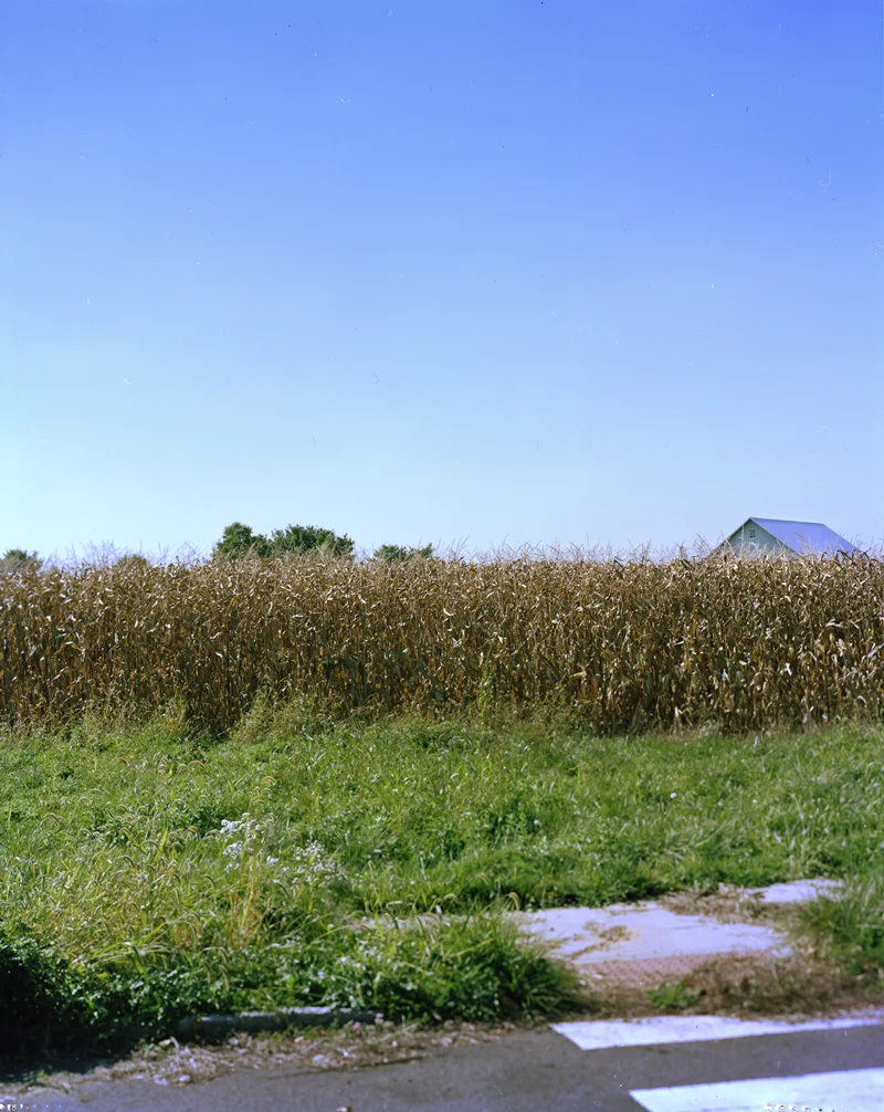Heaven Is But A Rooftop Away (2013) Kodak Portra 4x 5'' Color Film