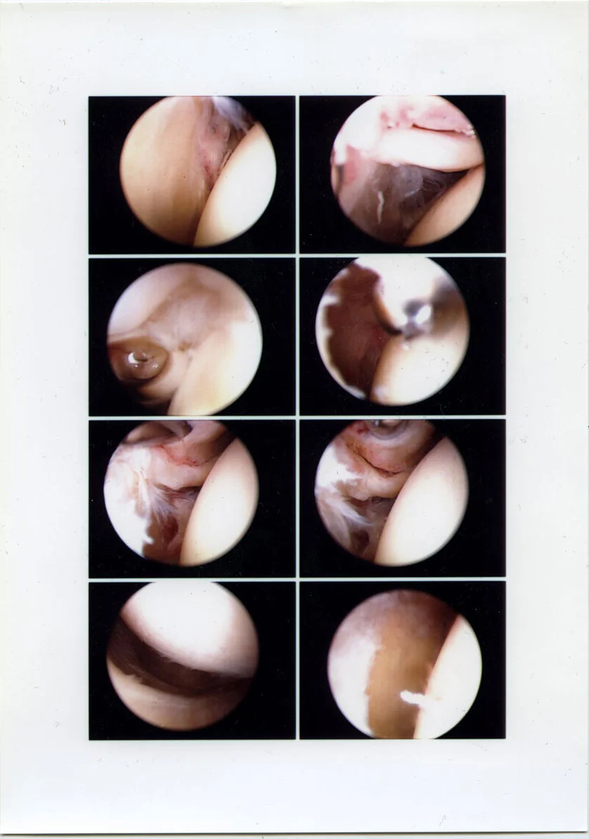 grotesque-2-4-16.jpg