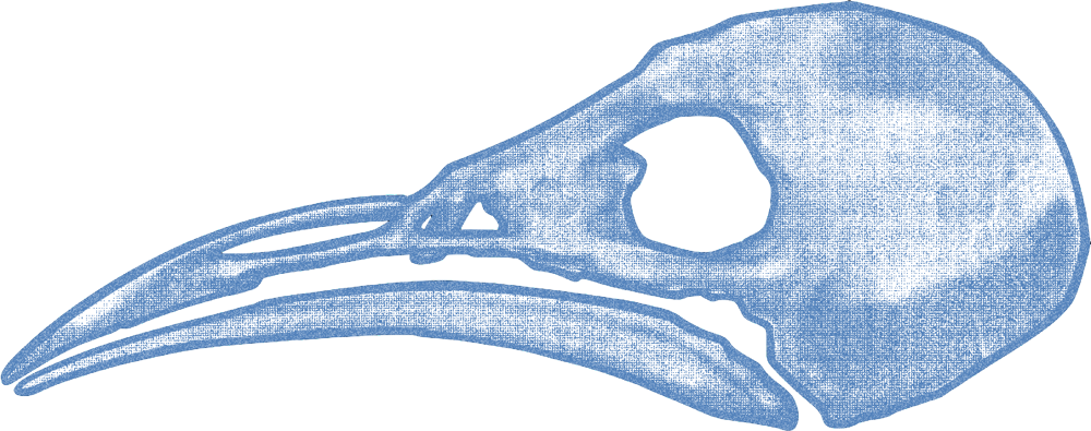 Website Haser Illustration.png