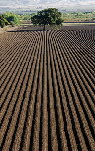 sidebar-img-Services-Farming.jpg