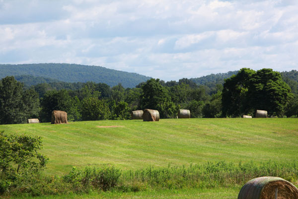 farmland.jpg