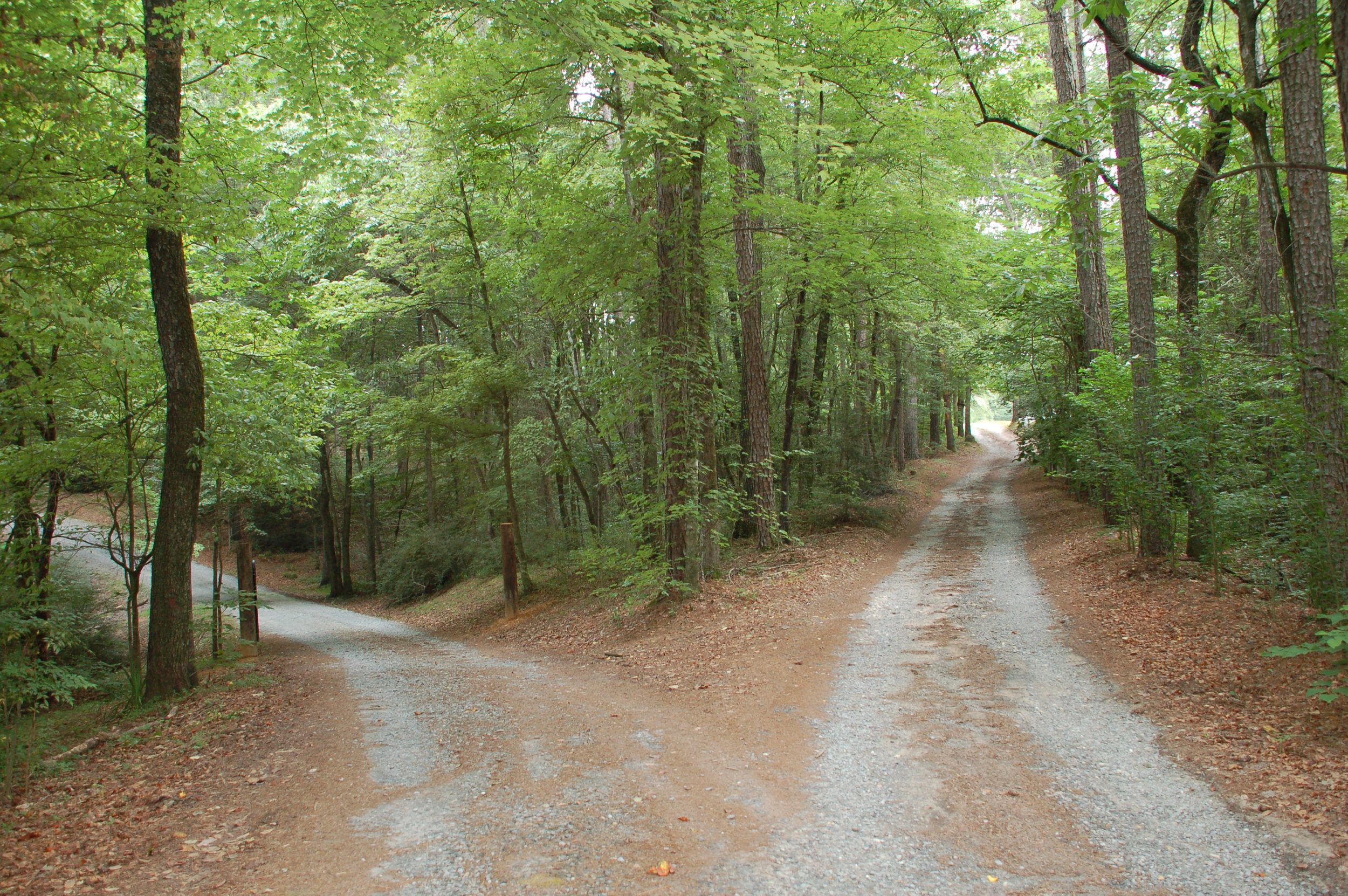 “There is a path before each person that seems right, but it ends in death.” – Proverbs 16:25