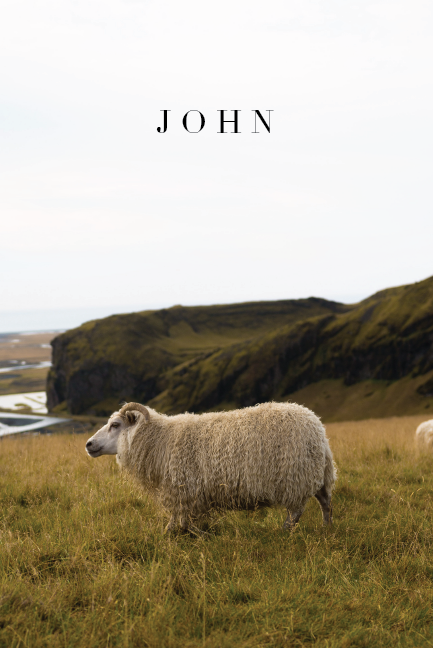 john - sheep.png