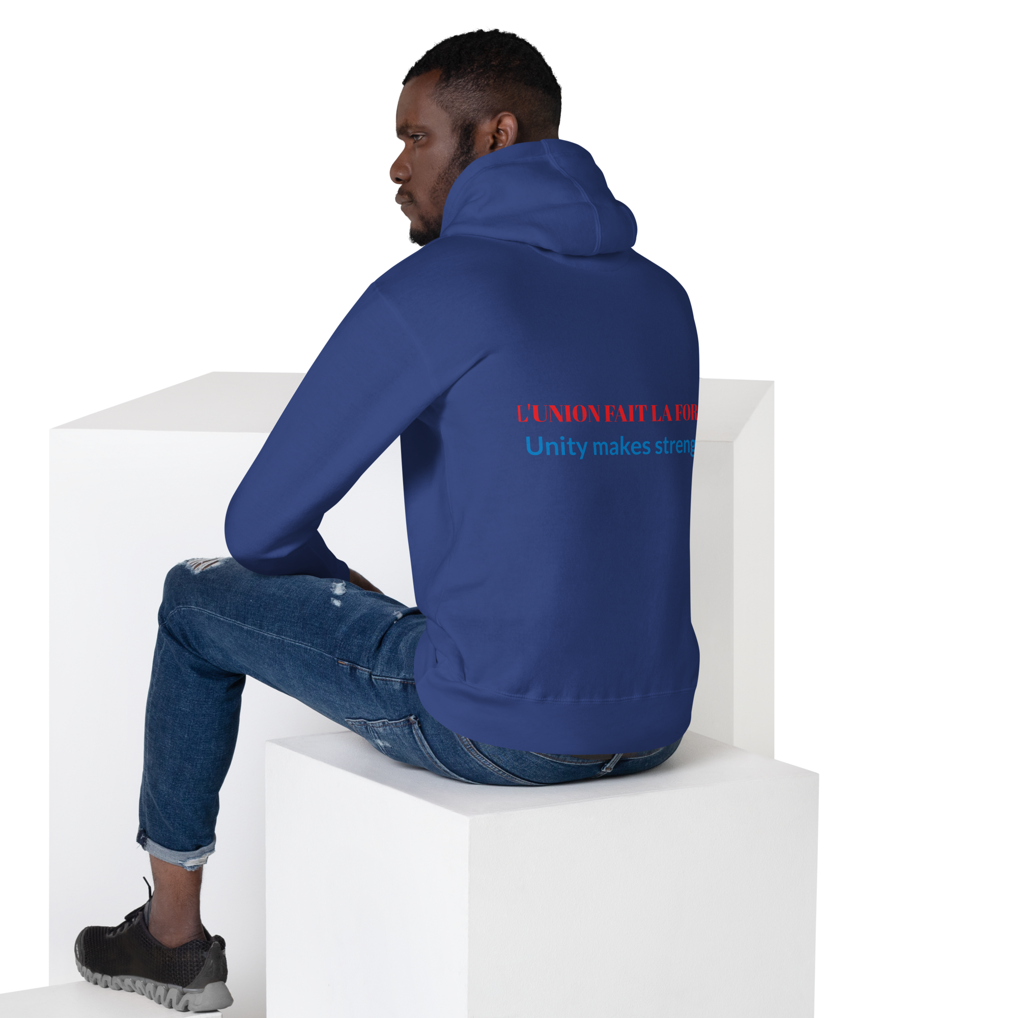 unisex-premium-hoodie-team-royal-back-652ea36b32cc4.png