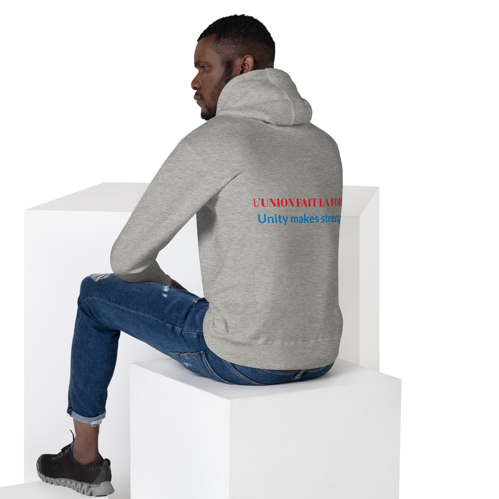 unisex-premium-hoodie-carbon-grey-back-652ea36b3805b.png