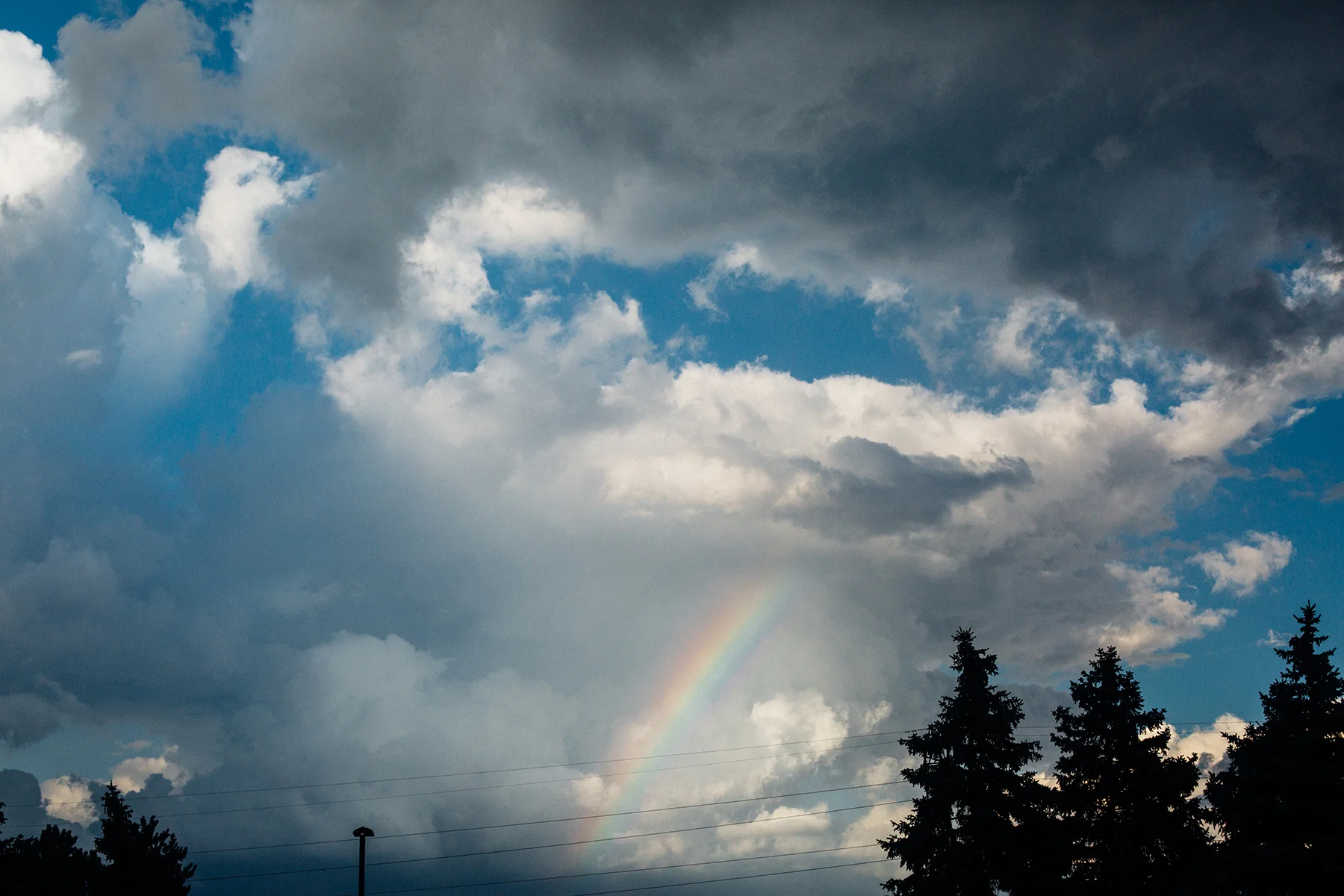IMG (565).jpg