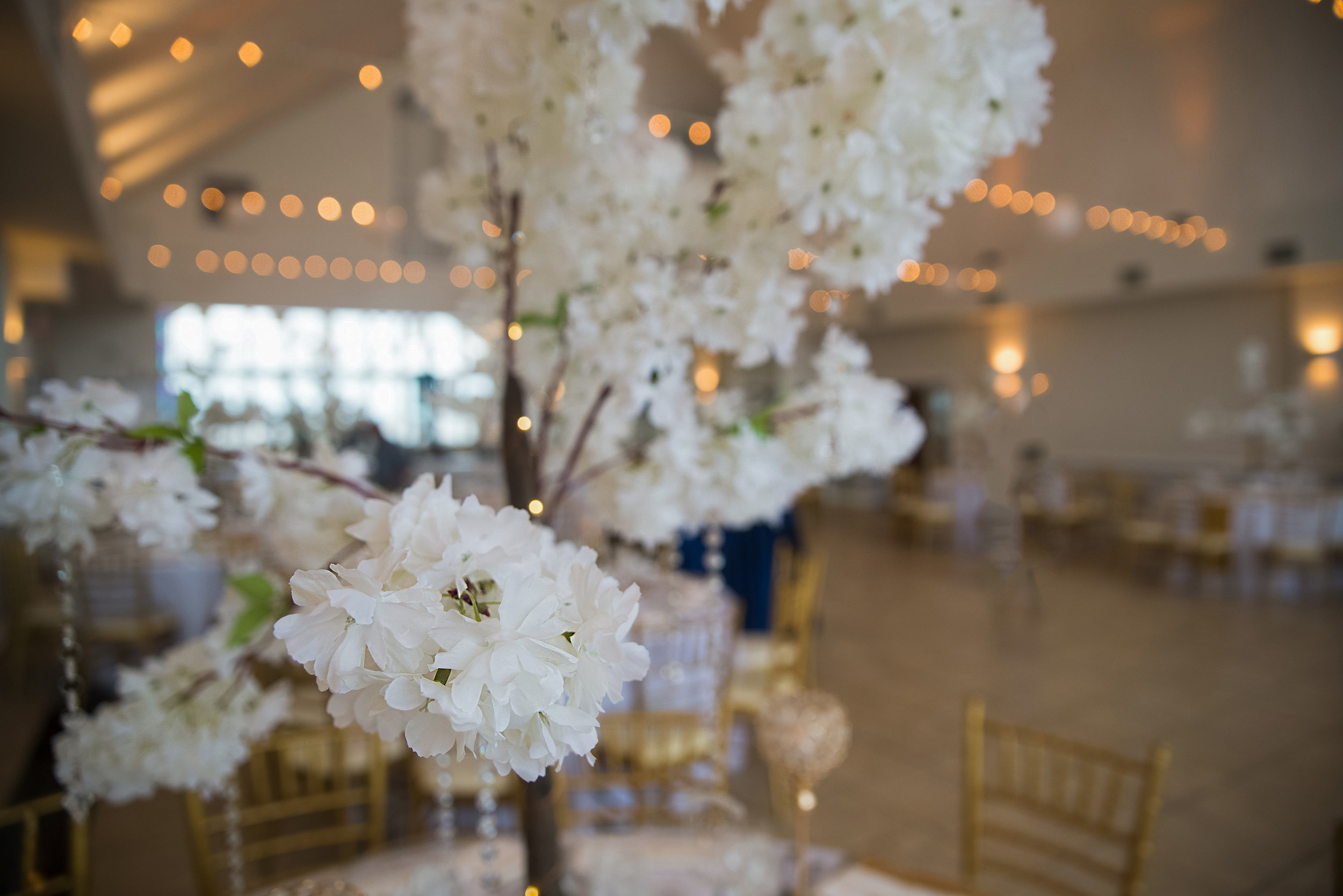 Ivory Hydrangea Trees