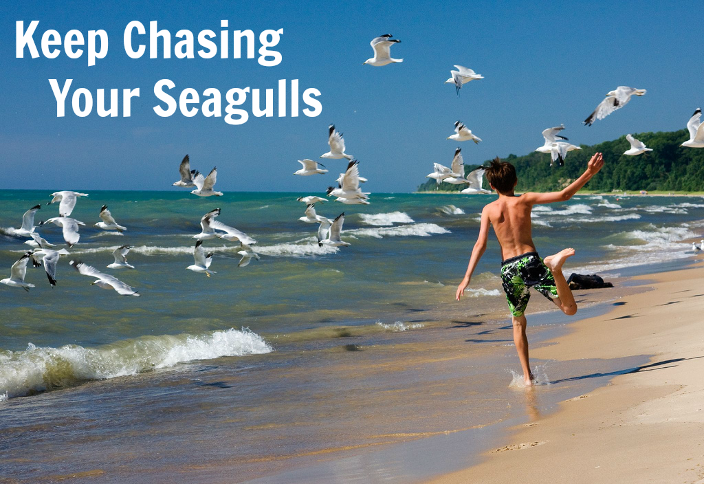 chasing_seagulls.png