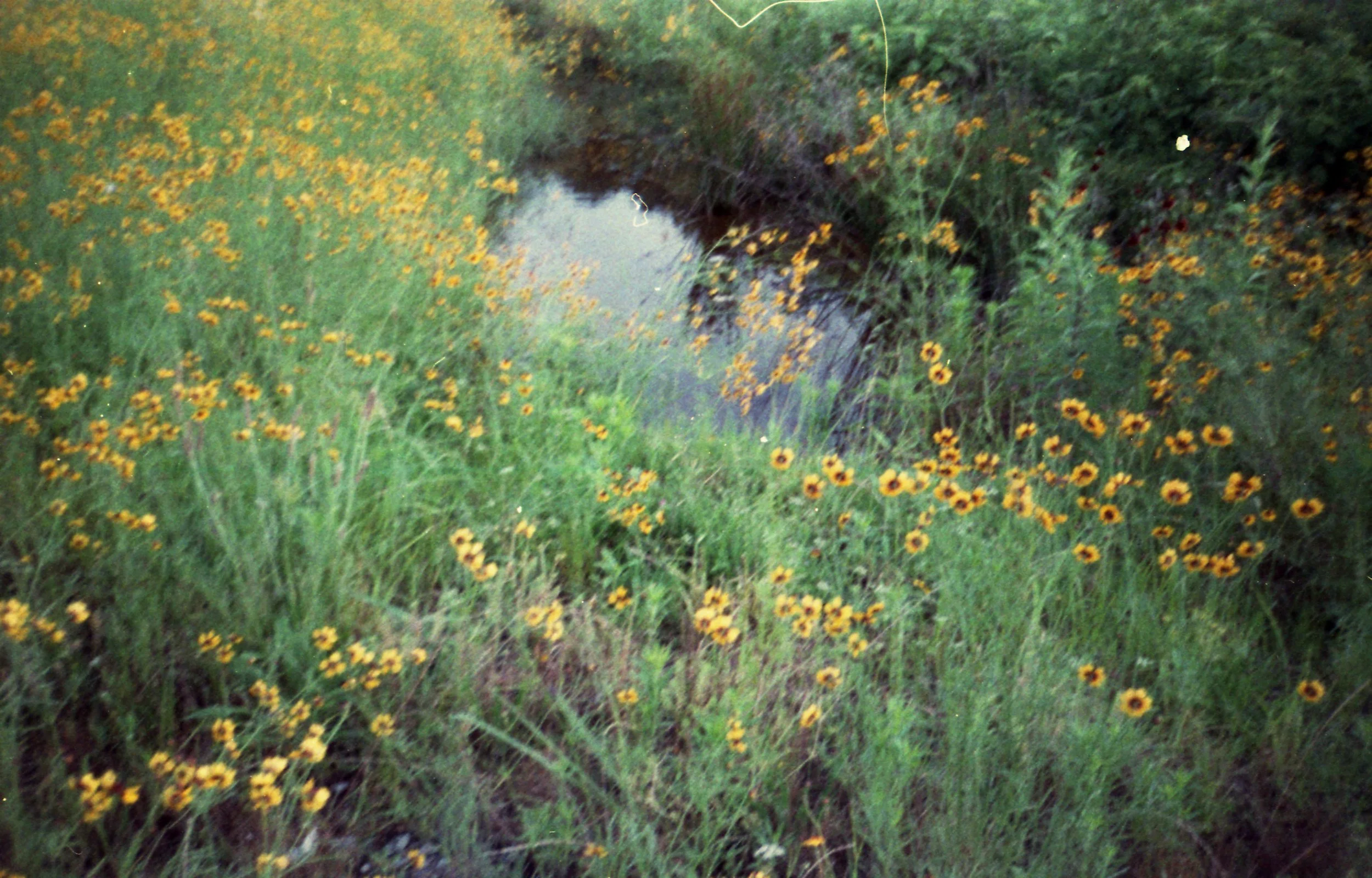Film070.jpg