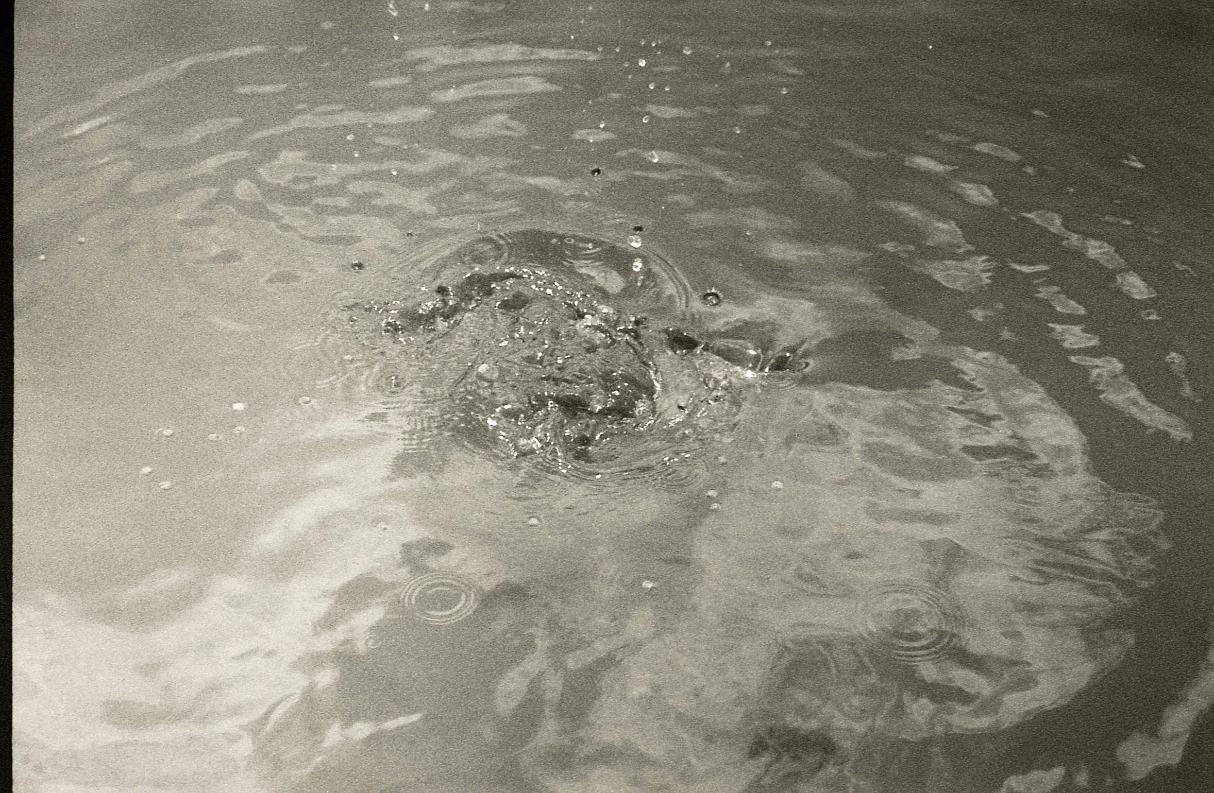 Film340.jpg
